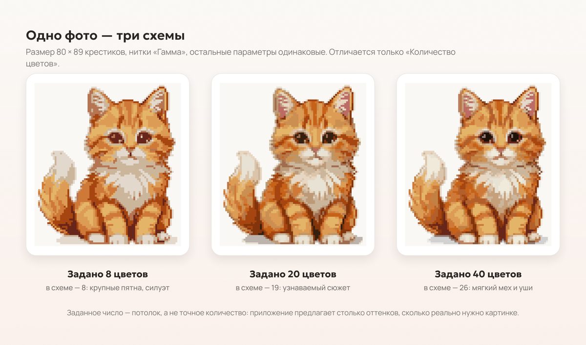 Одно фото при 8, 20 и 40 цветах